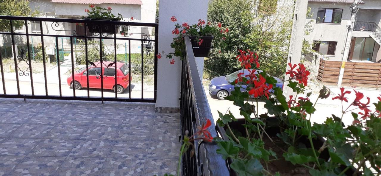 Sunshine Apartments Năvodari Eksteriør billede